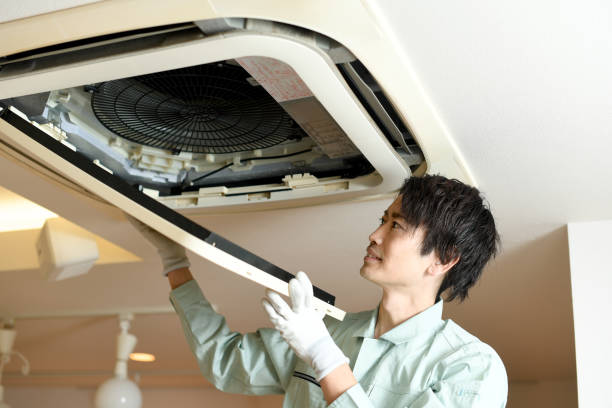 Best Air Duct Mold Removal  in Nixon, TX