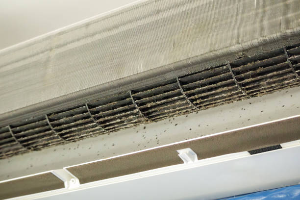 Best Home Air Vent Cleaning  in Nixon, TX